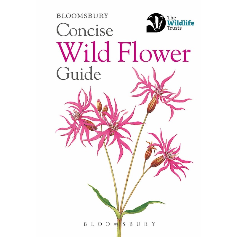 Concise Wild Flower Guide