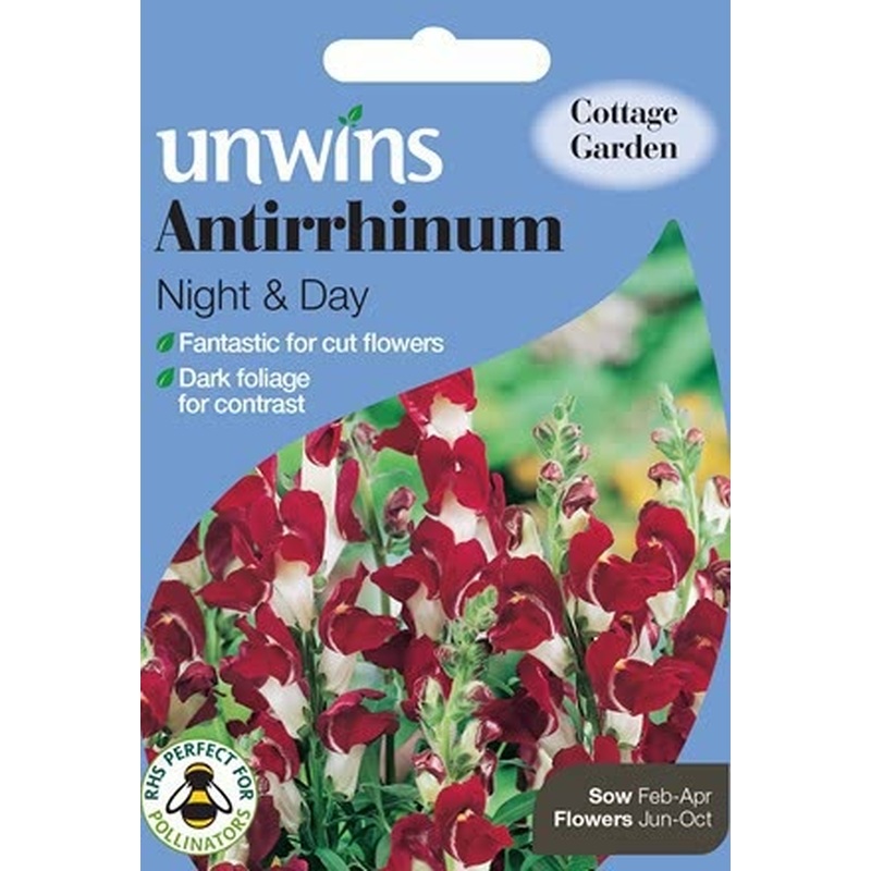 Antirrhinum Night And Day