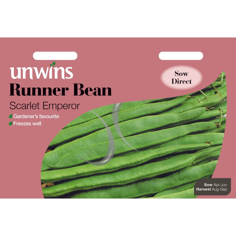 Runner Bean Scarlet Emperor