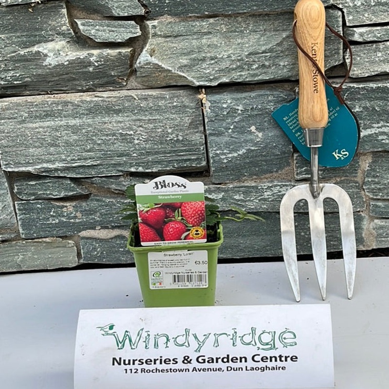 Strawberry Loran 9cm