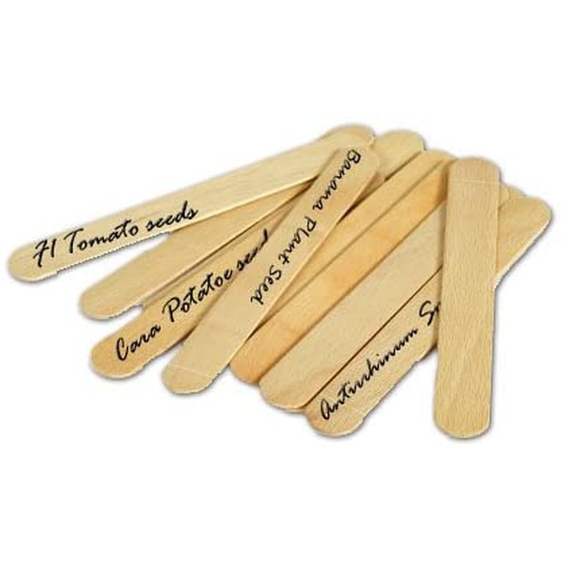 15cm WOODEN PLANT LABELS & PENCIL