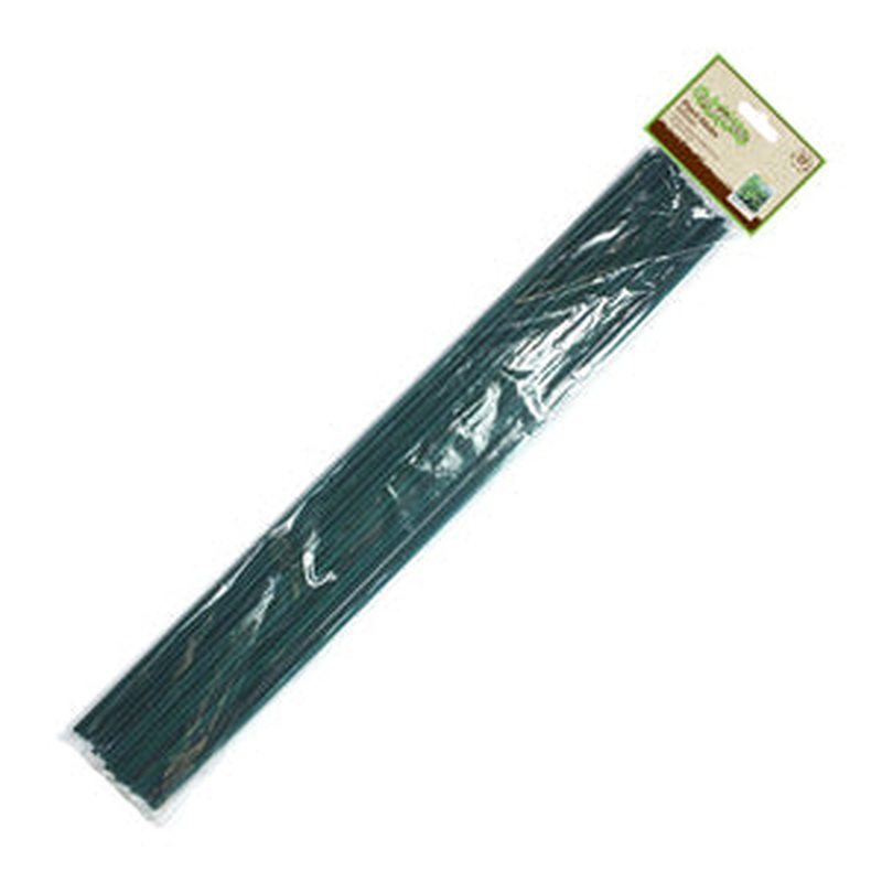 PLANT STICKS 60cm