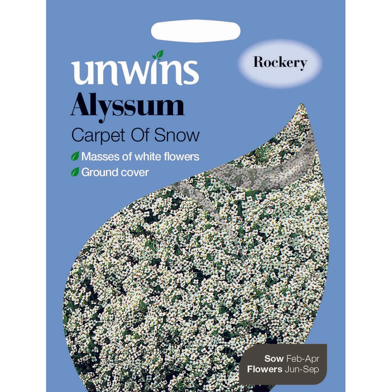 Alyssum Carpet Of Snow