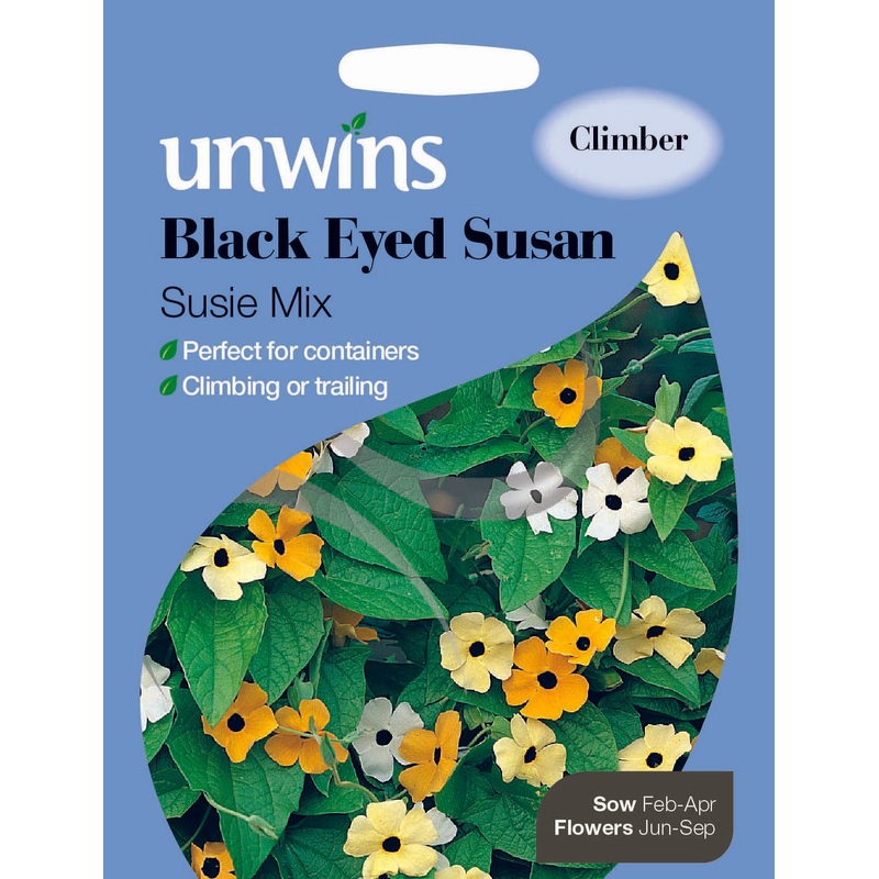 Black Eyed Susan Susie Mix