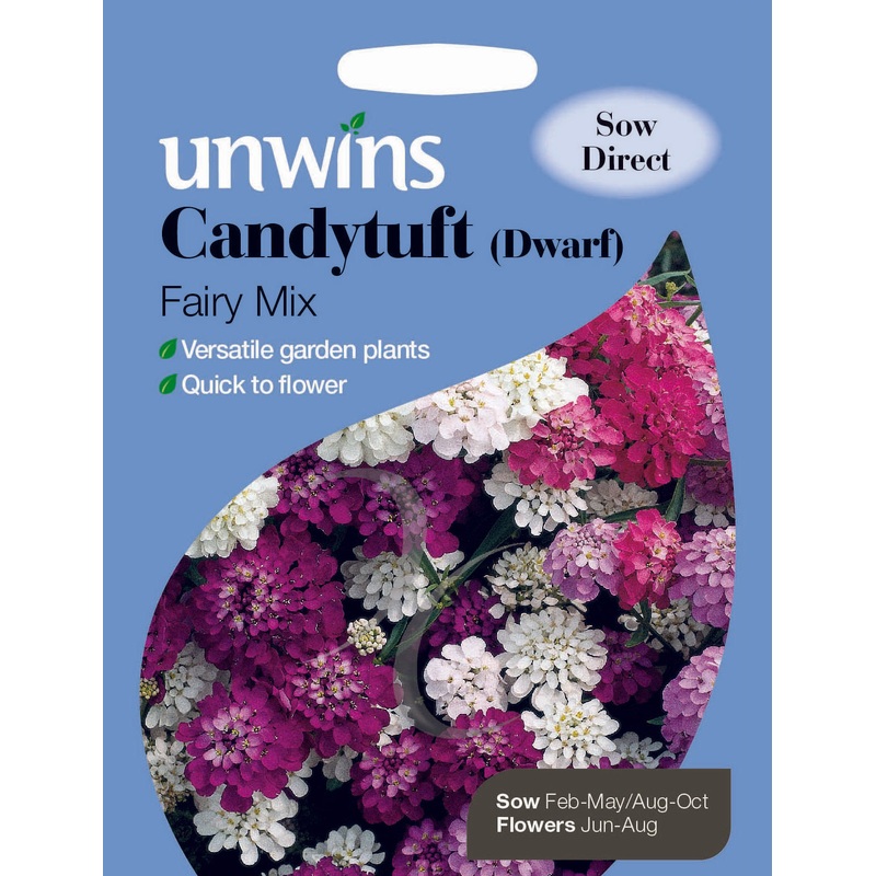 Candytuft Dwarf Fairy Mix