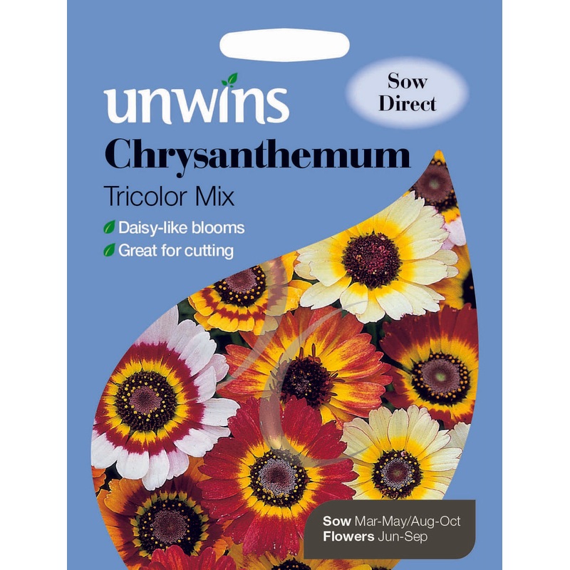 Chrysanthemum Tricolor Mix