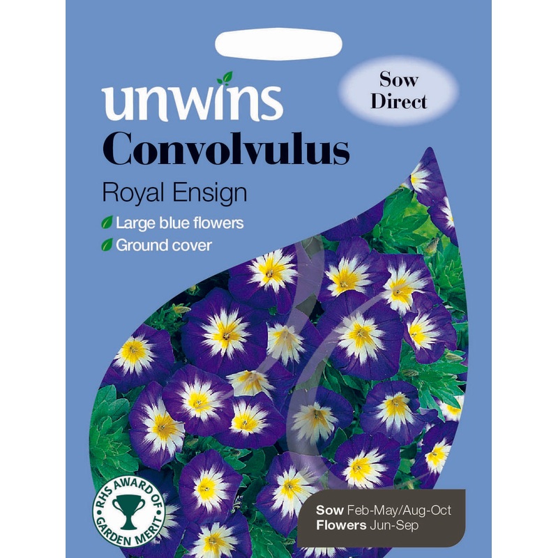 Convolvulus Royal Ensign