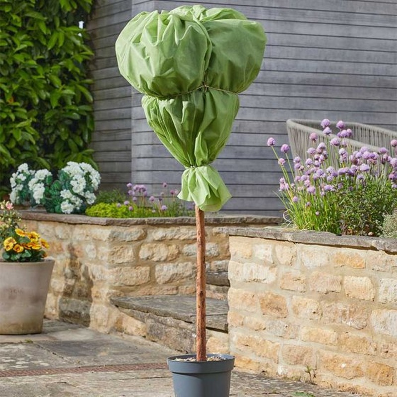 G30 Plant Warming Fleece 1.5 x 10m