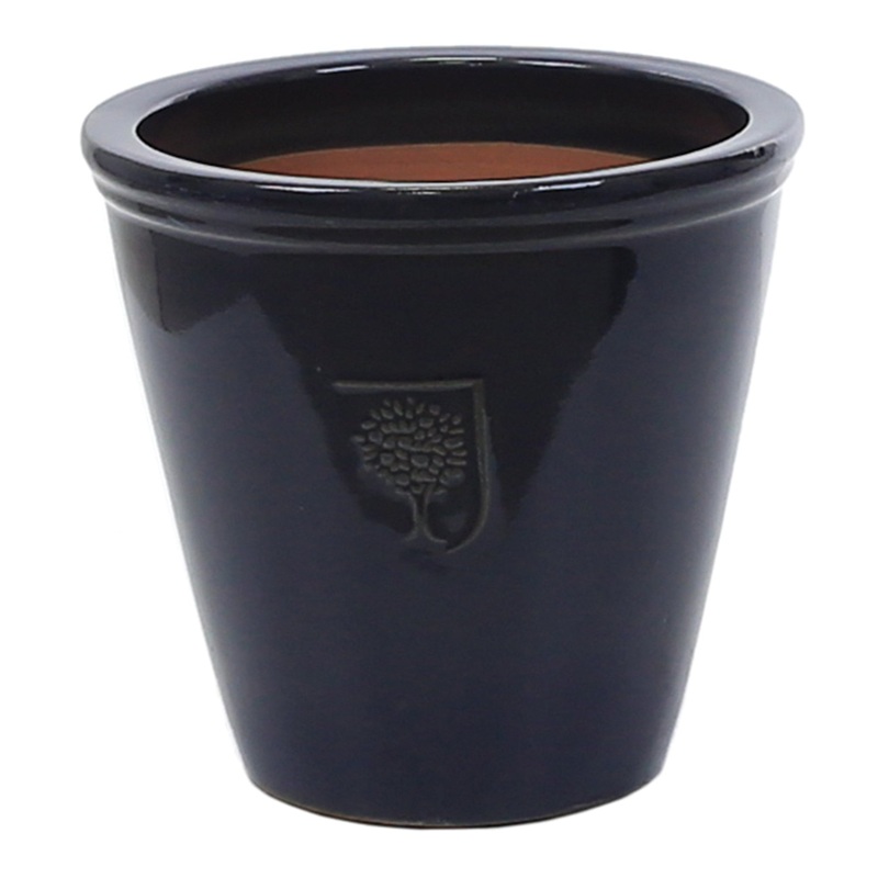 RHS Wisley 2 Pot Purple 33cm