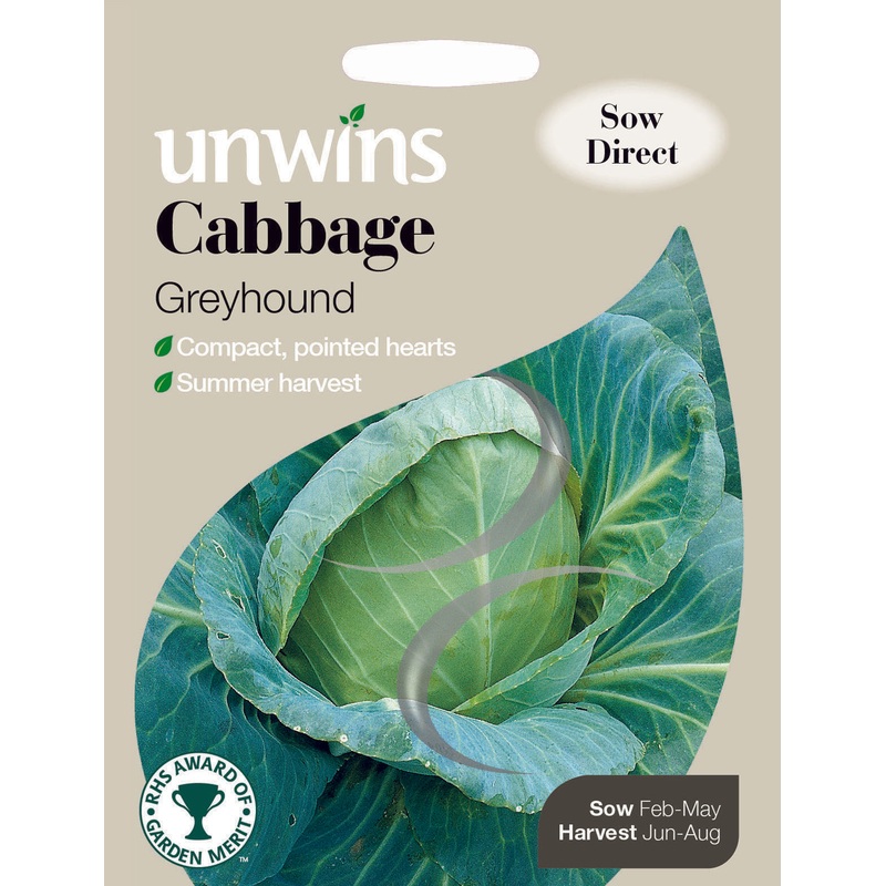 Cabbage Greyhound
