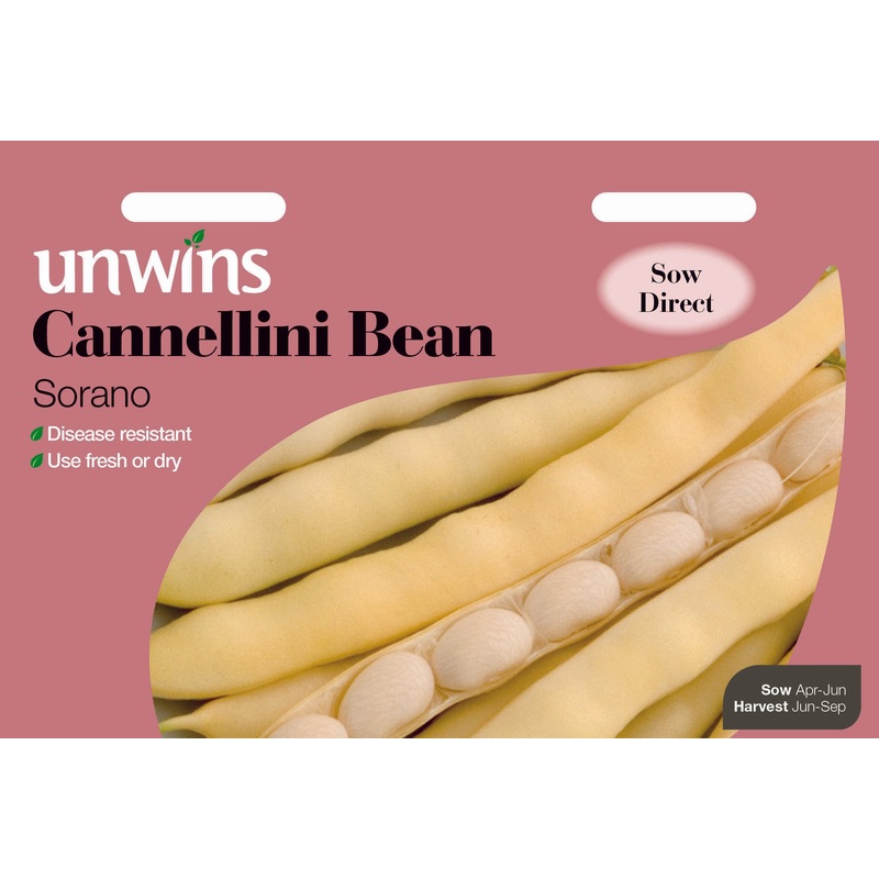 Cannellini Bean Sorano