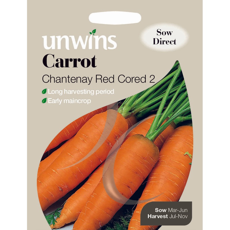 Carrot Chantenay Red Cored 2