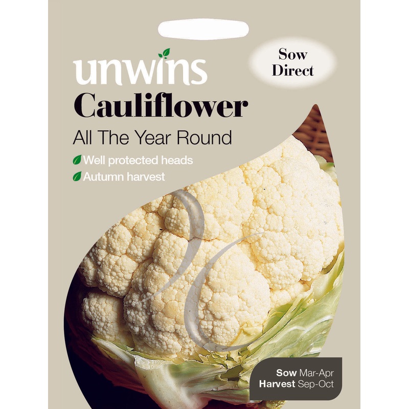 Cauliflower All The Year Round