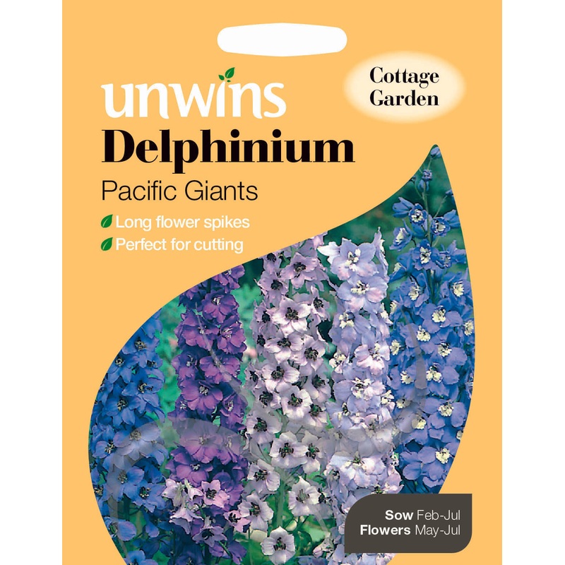 Delphinium Pacific Giants
