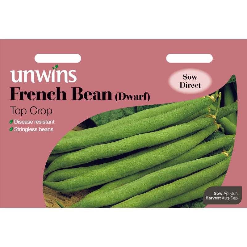 French Bean (Dwarf)Top Crop