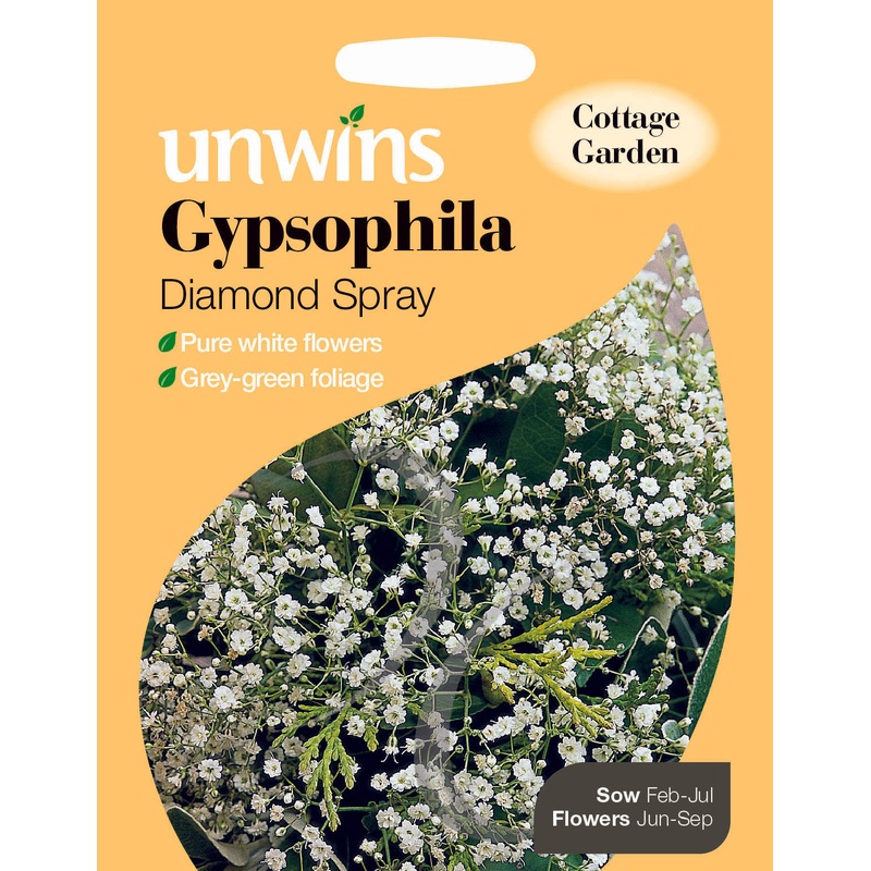 Gypsophila Diamond Spray