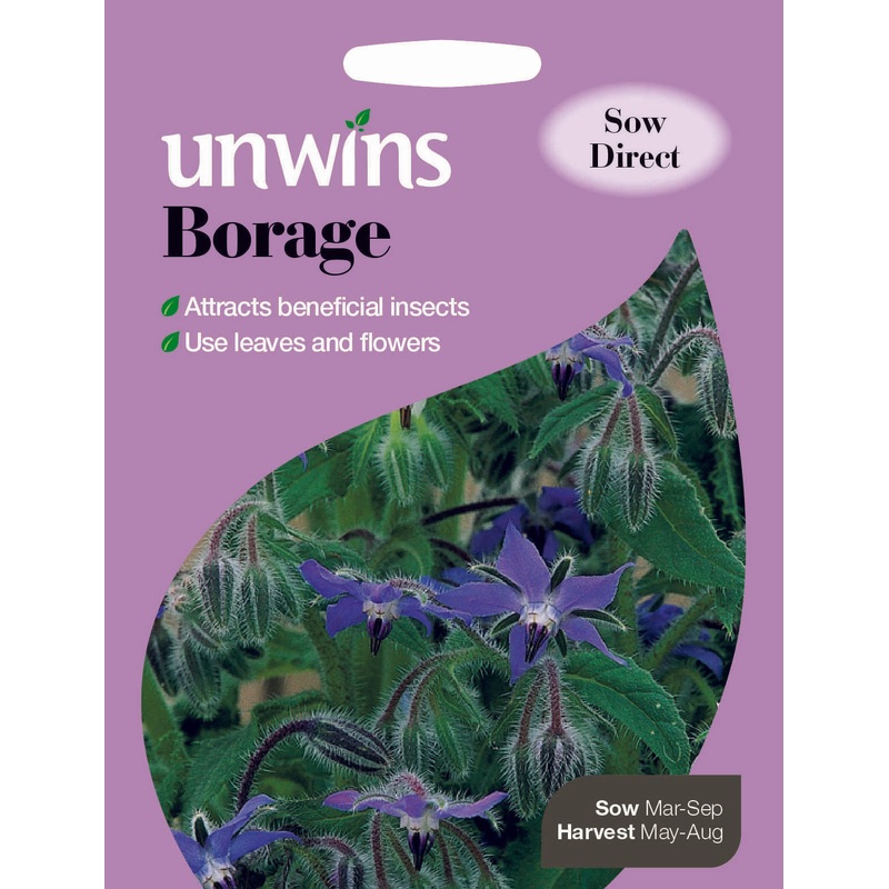 Herb Borage