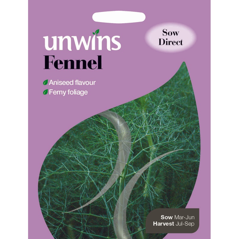 Herb Fennel