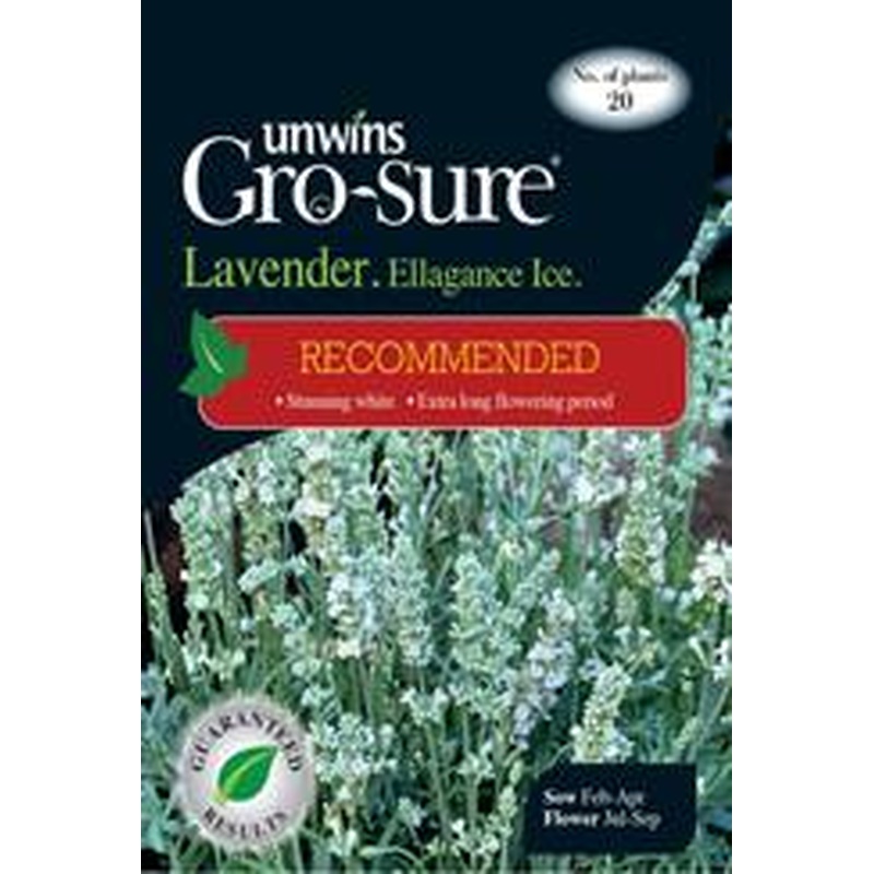 Lavender Ellegance Ice