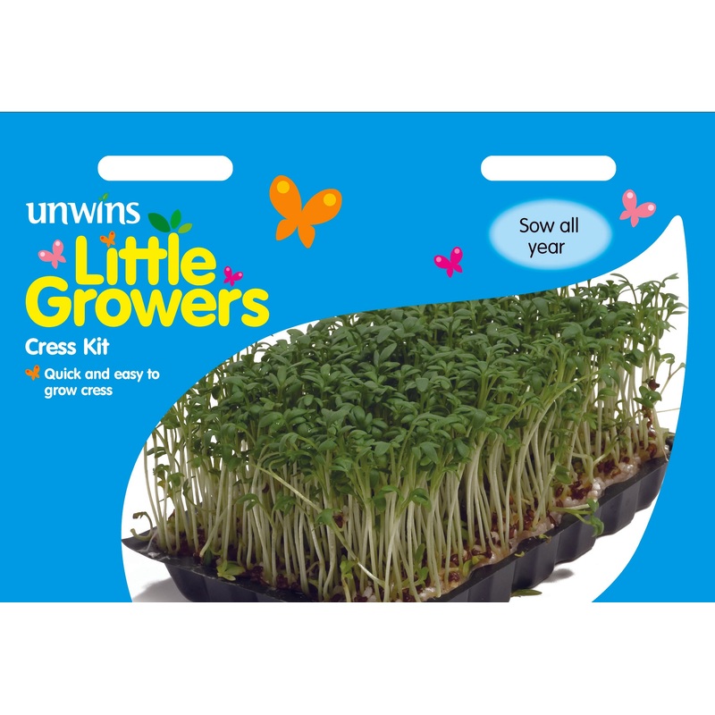 Little Growers Cress Kit