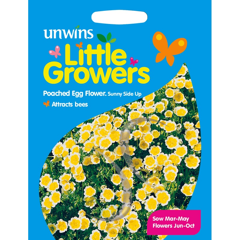 Little Growers Poached Egg Flower Sunnyside