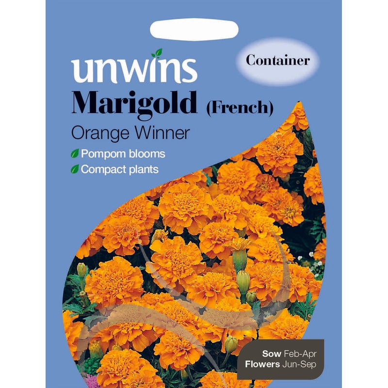 Marigold French Orange Winner