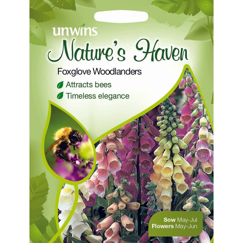 NH Foxglove Woodlanders