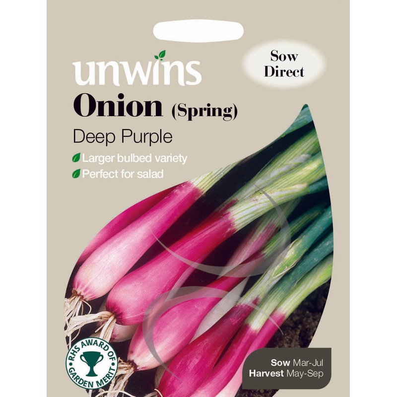 Onion Spring Deep Purple