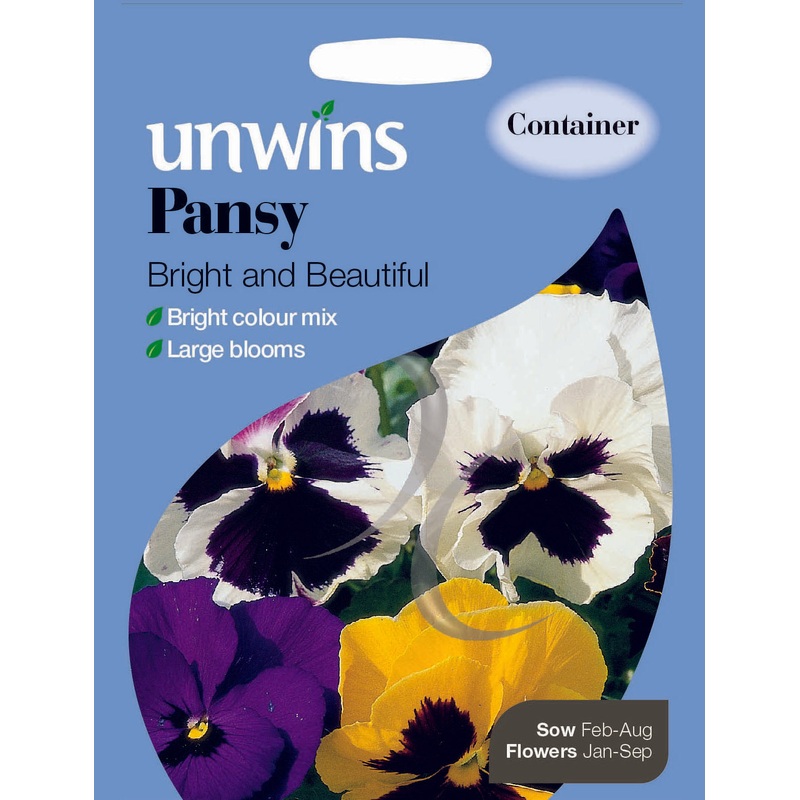 Pansy Bright and Beautiful
