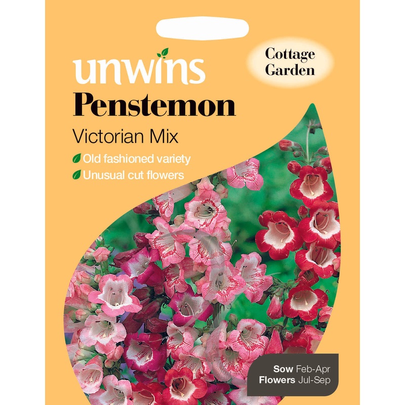 Penstemon Victorian Mix