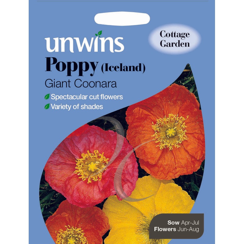 Poppy Iceland Giant Coonara