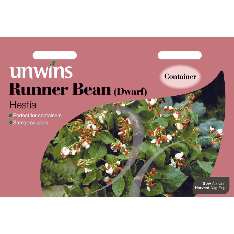 Runner Bean (Dwarf) Hestia