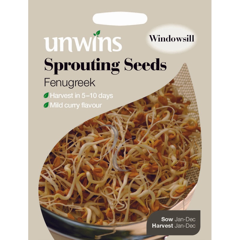 Sprouting Seeds Fenugreek