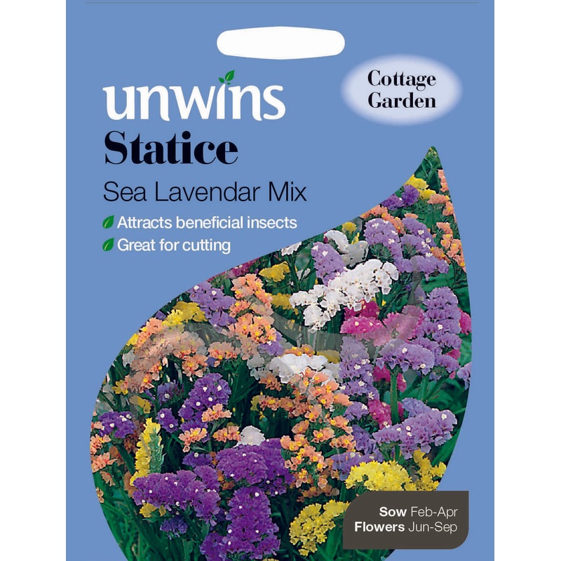 Statice Sea Lavender Mix
