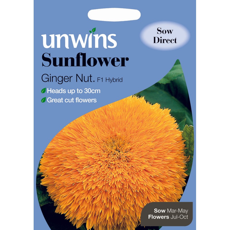 Sunflower Ginger Nut F1