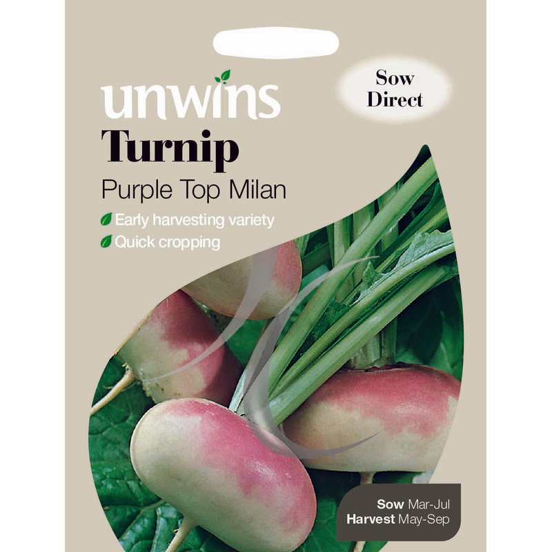 Turnip Purple Top Milan