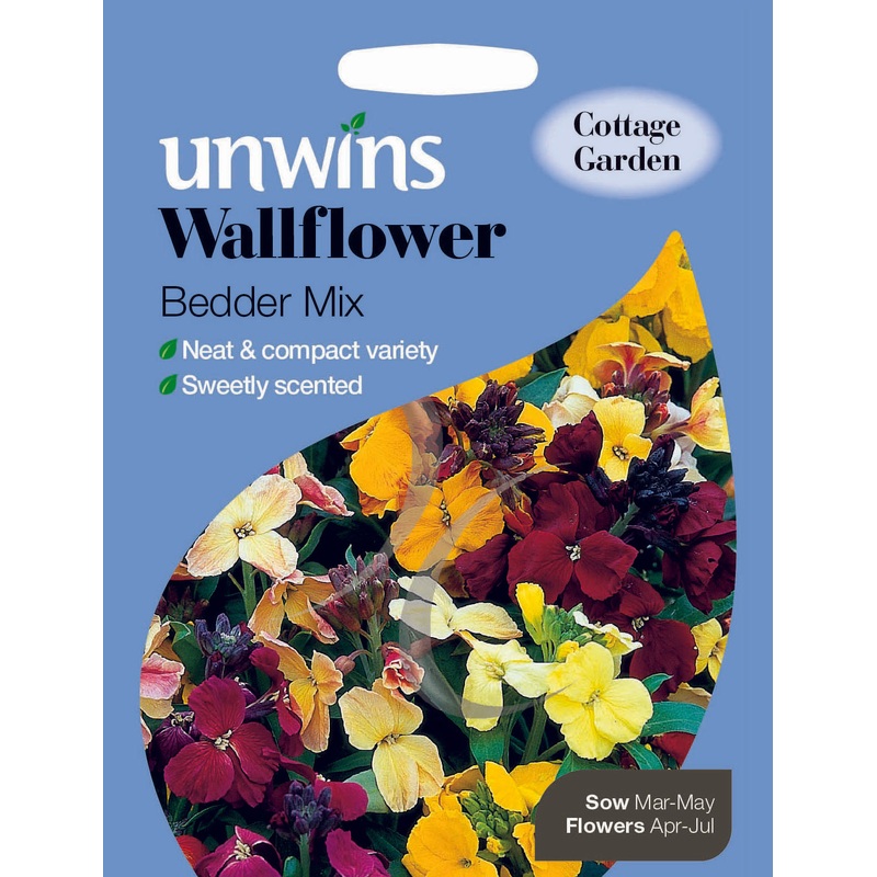 Wallflower Bedder Mix