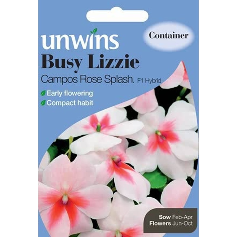 Busy Lizzie Campos Rose