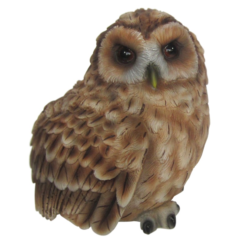 GF Owl Small F