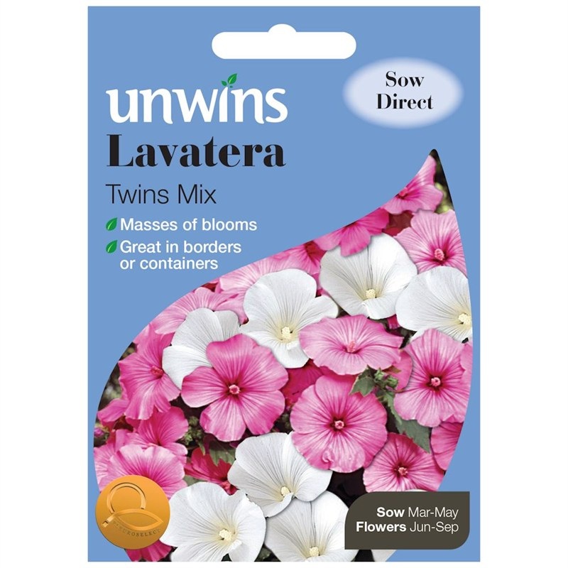 Lavatera Twins Mix