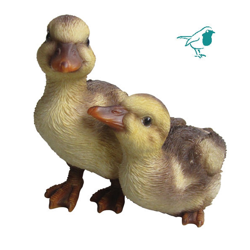NF Duckling Group D