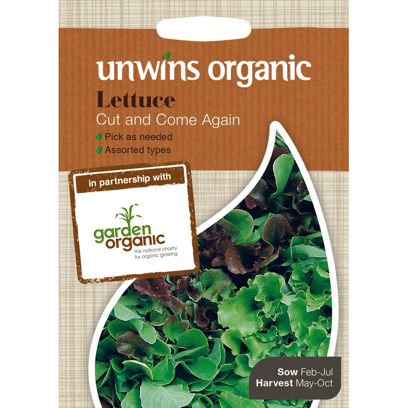 Organic lettuce cut and come again