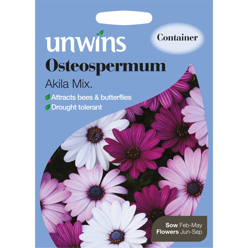 Osteospermum Akila Mix