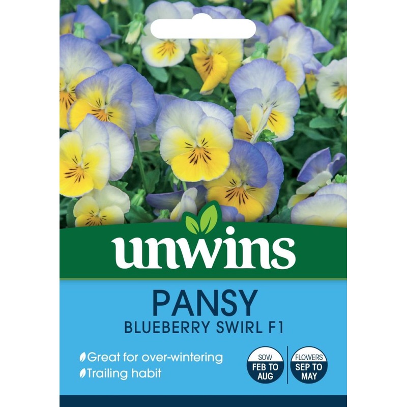 Pansy B-berry Swirl