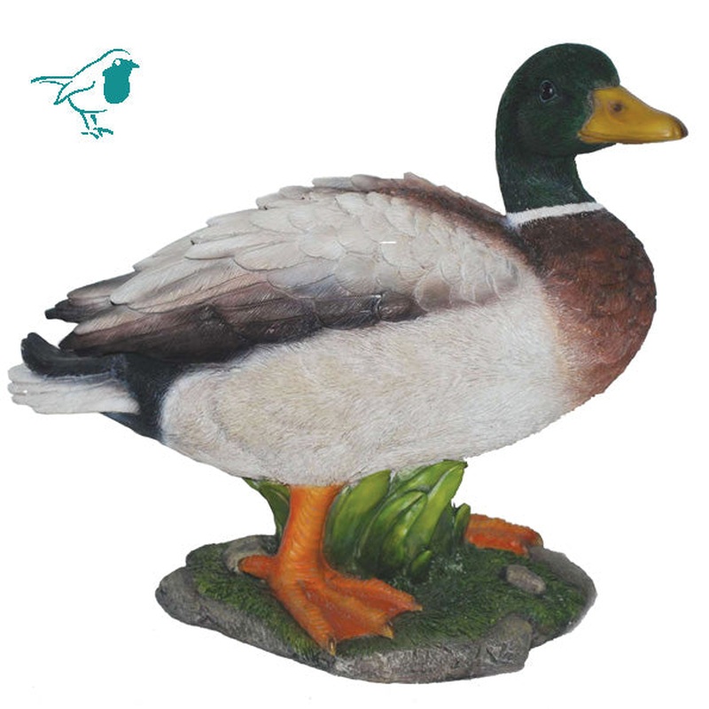 Real Life Mallard Duck A