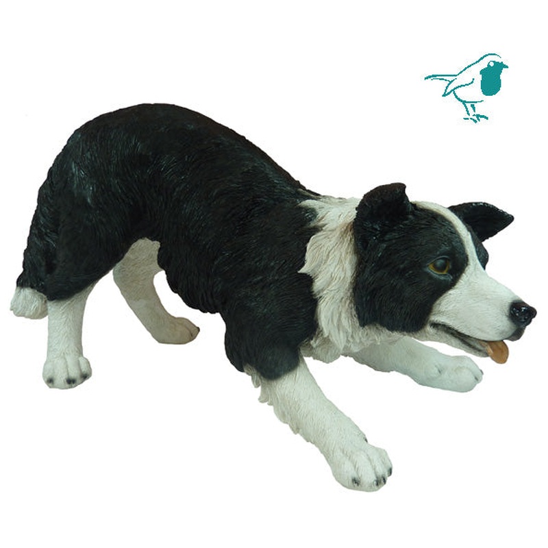 Real Life Sheepdog F