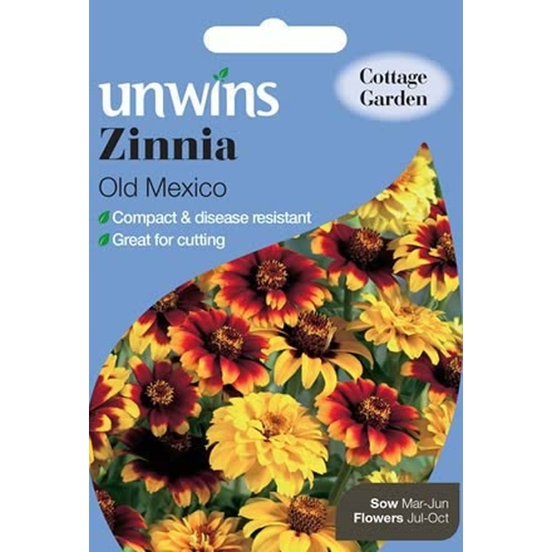 Zinnia Old Mexico