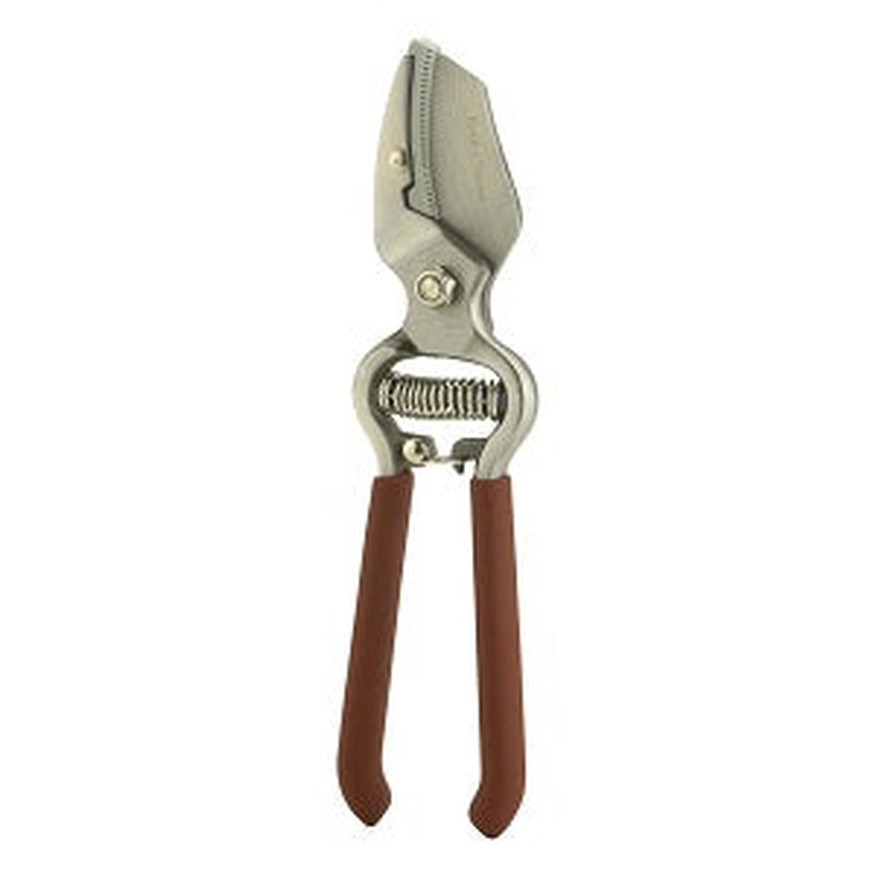Traditional Anvil Secateurs