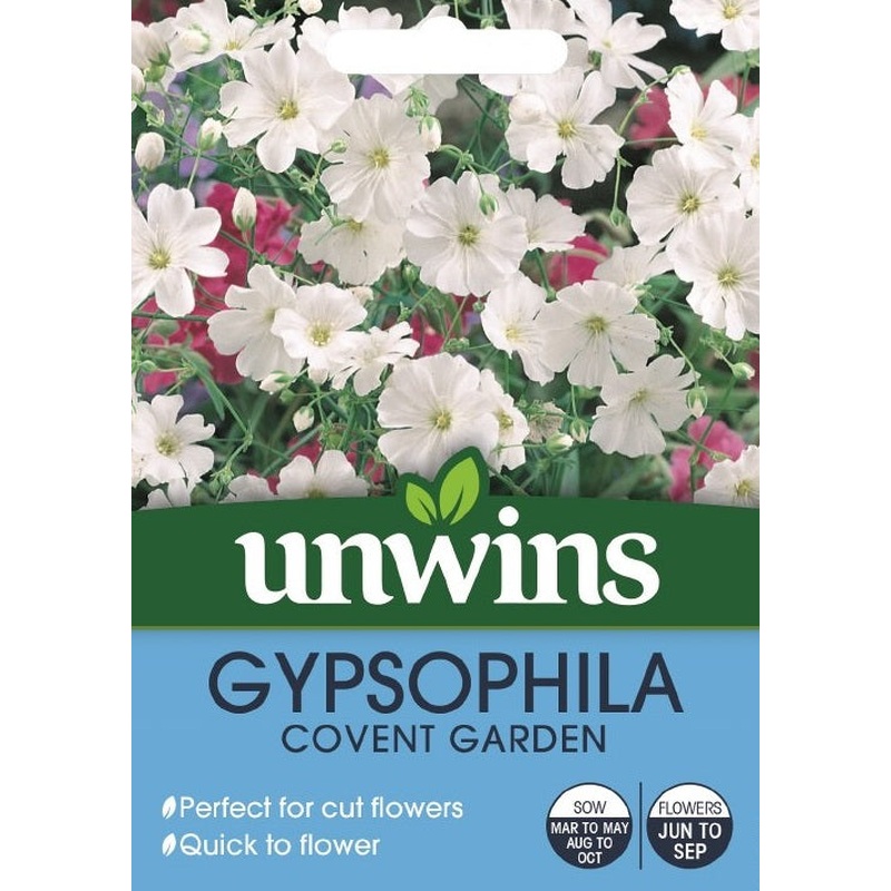 Gypsophila Covent Garden