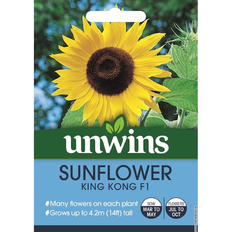 Sunflower King Kong F1